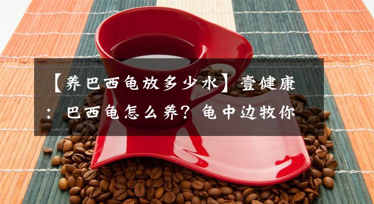 【养巴西龟放多少水】壹健康：巴西龟怎么养？龟中边牧你确定不养一只嘛