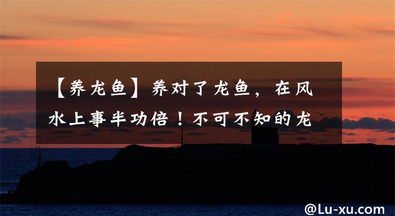 【养龙鱼】养对了龙鱼，在风水上事半功倍！不可不知的龙鱼风水学！