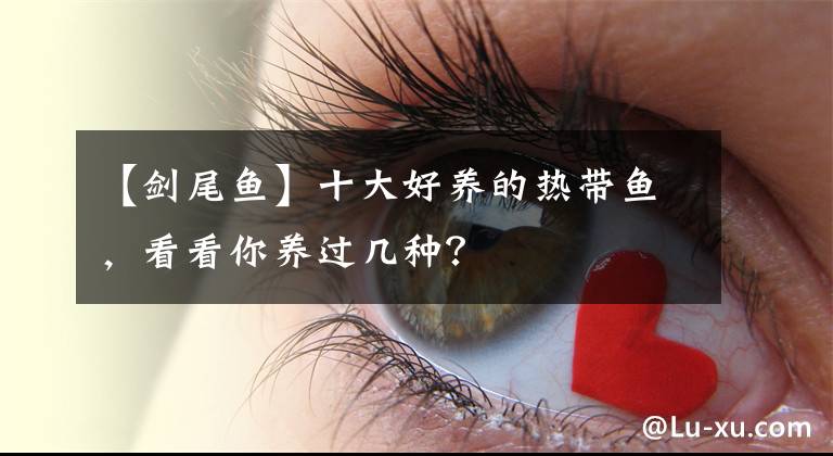 【剑尾鱼】十大好养的热带鱼，看看你养过几种？