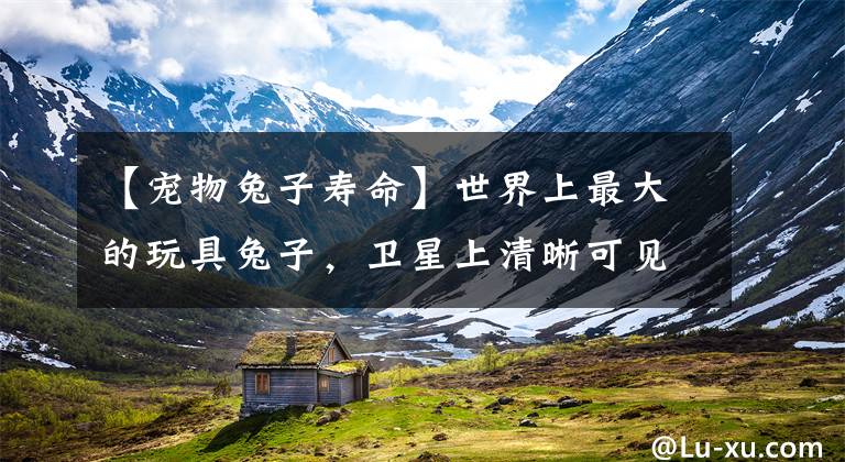 【宠物兔子寿命】世界上最大的玩具兔子，卫星上清晰可见，如今成为一堆废墟