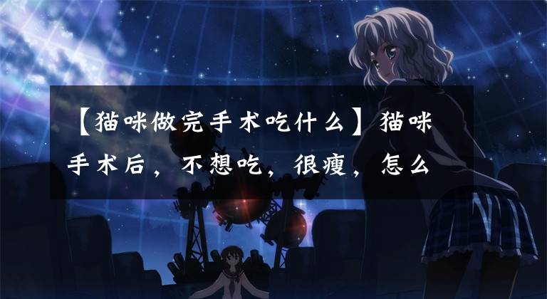 【猫咪做完手术吃什么】猫咪手术后，不想吃，很瘦，怎么样才能恢复得更好？