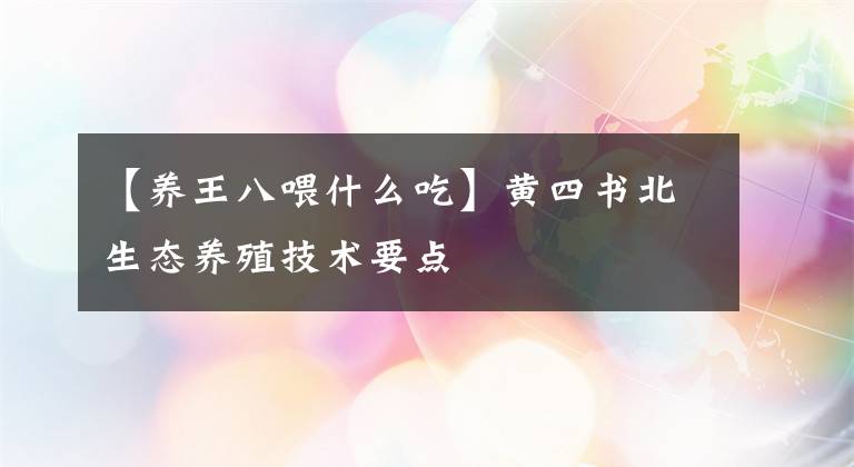【养王八喂什么吃】黄四书北生态养殖技术要点