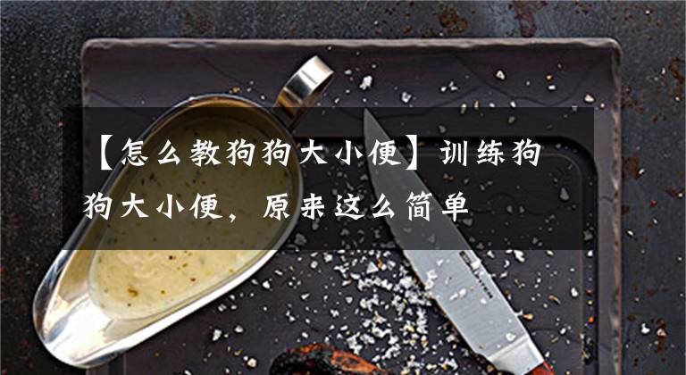 【怎么教狗狗大小便】训练狗狗大小便，原来这么简单