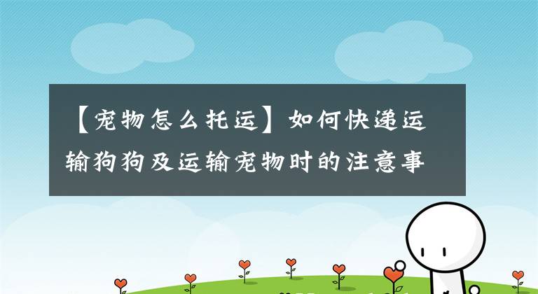 【宠物怎么托运】如何快递运输狗狗及运输宠物时的注意事项