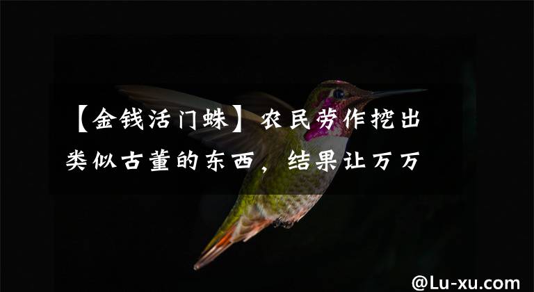【金钱活门蛛】农民劳作挖出类似古董的东西，结果让万万没想到