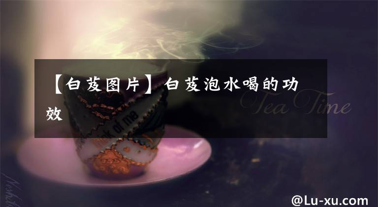 【白芨图片】白芨泡水喝的功效