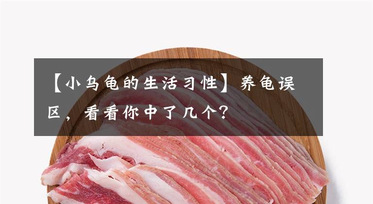 【小乌龟的生活习性】养龟误区，看看你中了几个？