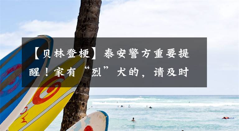 【贝林登梗】泰安警方重要提醒！家有“烈”犬的，请及时妥善处理！