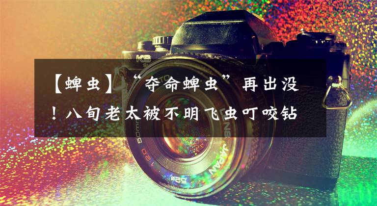 【蜱虫】“夺命蜱虫”再出没！八旬老太被不明飞虫叮咬钻进皮肉