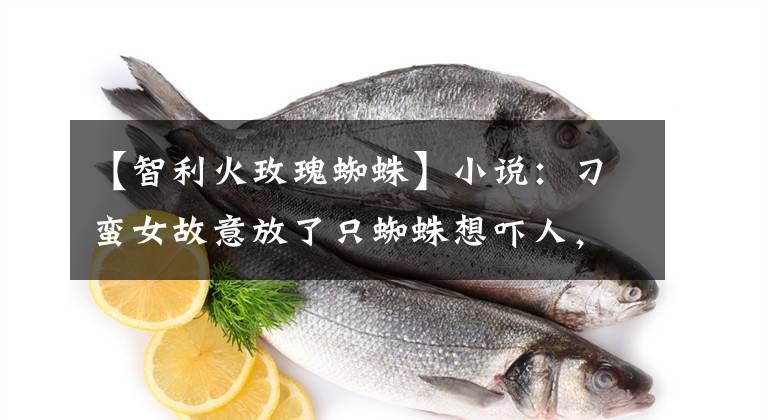 【智利火玫瑰蜘蛛】小说：刁蛮女故意放了只蜘蛛想吓人，小伙见了却眼神发亮：好东西