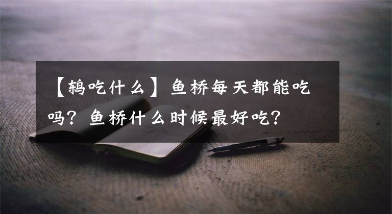 【鸫吃什么】鱼桥每天都能吃吗？鱼桥什么时候最好吃？