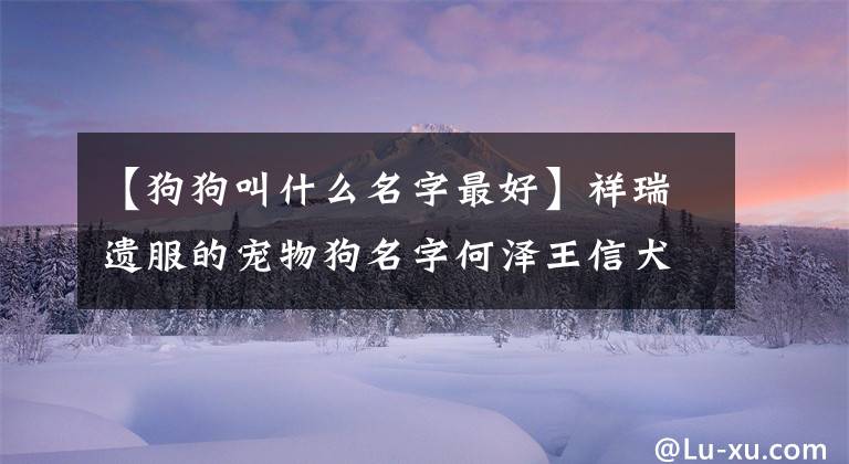 【狗狗叫什么名字最好】祥瑞遗服的宠物狗名字何泽王信犬-可爱之处