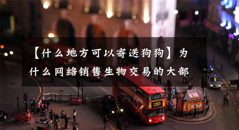 【什么地方可以寄送狗狗】为什么网络销售生物交易的大部分都是用快递投递快递生物的，不断？