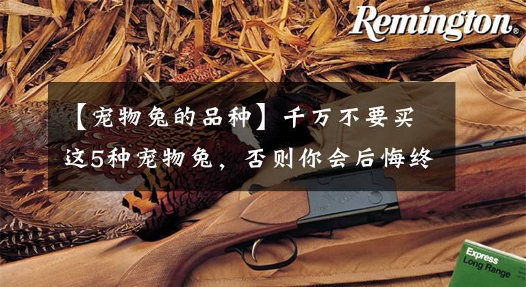 【宠物兔的品种】千万不要买这5种宠物兔，否则你会后悔终身！