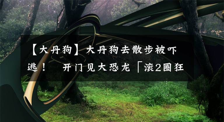 【大丹狗】大丹狗去散步被吓逃！　开门见大恐龙「滚2圈狂吠」家人笑喷