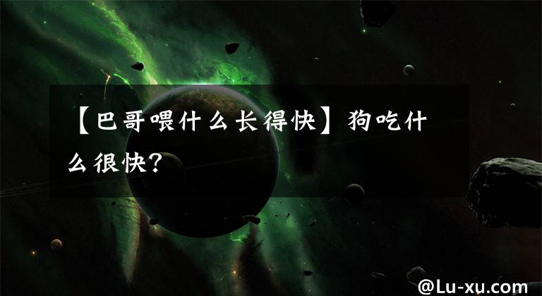 【巴哥喂什么长得快】狗吃什么很快？
