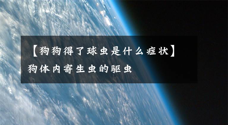 【狗狗得了球虫是什么症状】狗体内寄生虫的驱虫