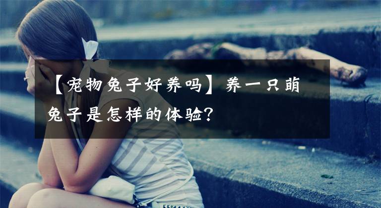 【宠物兔子好养吗】养一只萌兔子是怎样的体验？