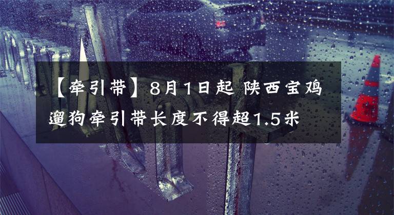 【牵引带】8月1日起 陕西宝鸡遛狗牵引带长度不得超1.5米