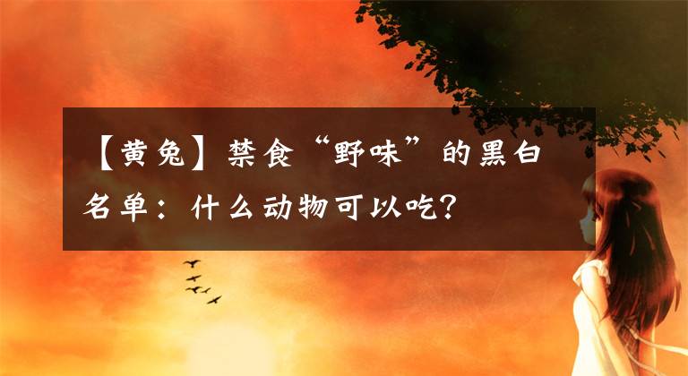 【黄兔】禁食“野味”的黑白名单：什么动物可以吃？