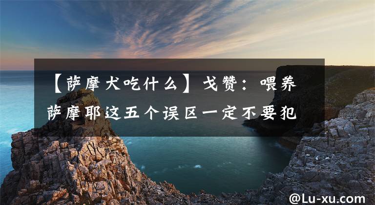 【萨摩犬吃什么】戈赞：喂养萨摩耶这五个误区一定不要犯哦