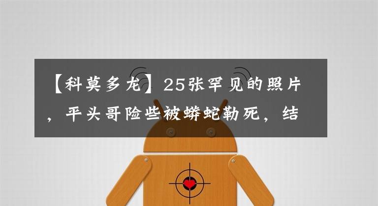 【科莫多龙】25张罕见的照片，平头哥险些被蟒蛇勒死，结果反杀还击退2只狼