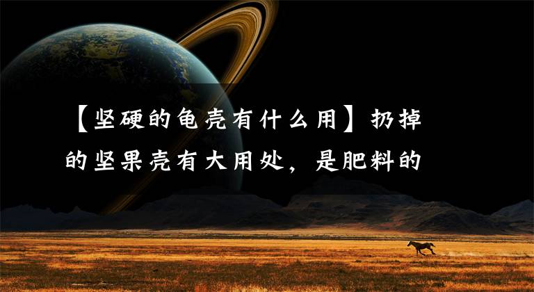 【坚硬的龟壳有什么用】扔掉的坚果壳有大用处，是肥料的原材料，用一点植物生长更旺盛