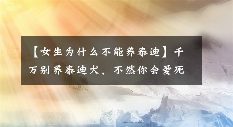【女生为什么不能养泰迪】千万别养泰迪犬，不然你会爱死它，只提醒你一次