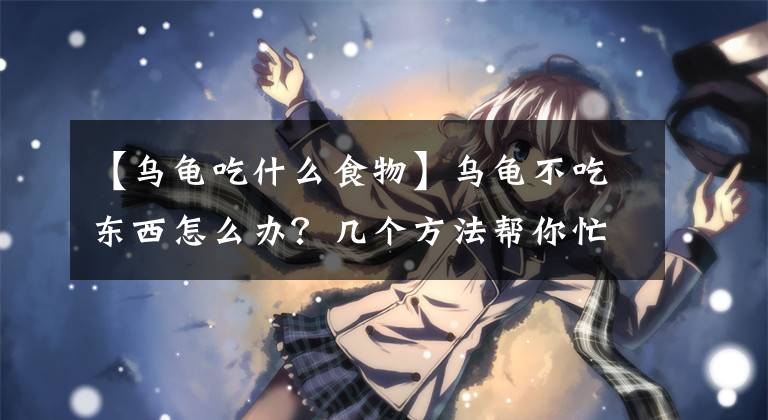 【乌龟吃什么食物】乌龟不吃东西怎么办？几个方法帮你忙