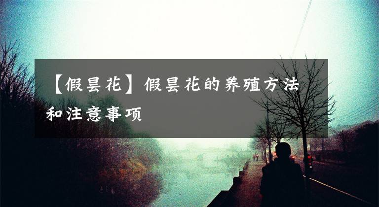 【假昙花】假昙花的养殖方法和注意事项