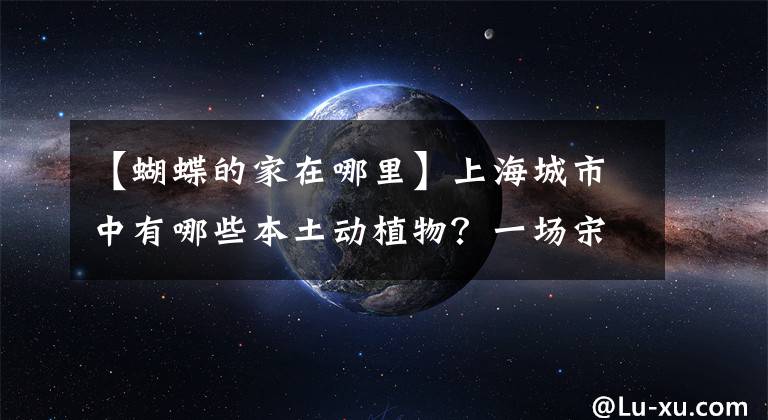 【蝴蝶的家在哪里】上海城市中有哪些本土动植物？一场宋庆龄文化空间的探秘之旅