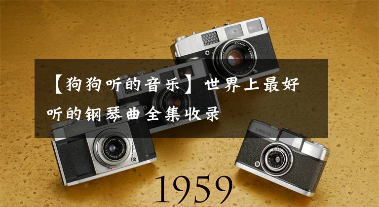 【狗狗听的音乐】世界上最好听的钢琴曲全集收录