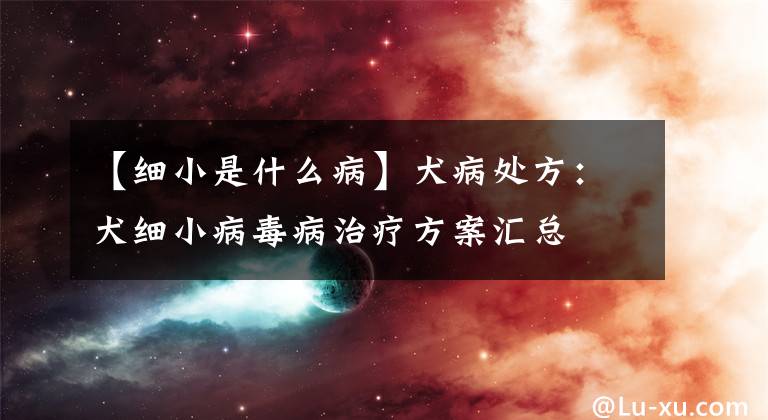【细小是什么病】犬病处方：犬细小病毒病治疗方案汇总