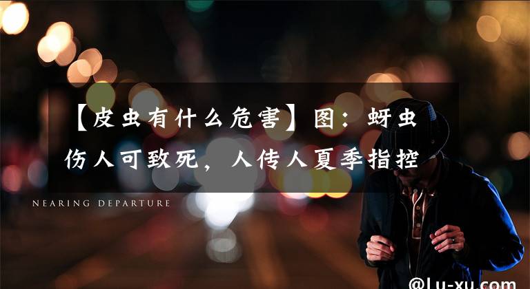【皮虫有什么危害】图：蚜虫伤人可致死，人传人夏季指控有6种注意。