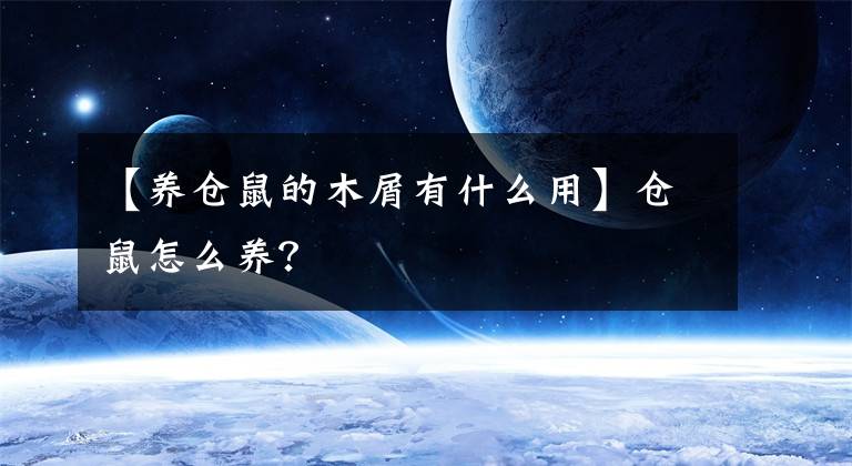 【养仓鼠的木屑有什么用】仓鼠怎么养？