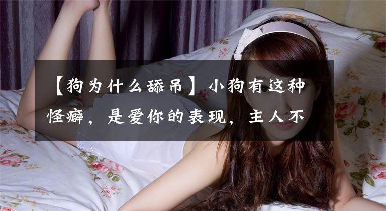 【狗为什么舔吊】小狗有这种怪癖，是爱你的表现，主人不要误会