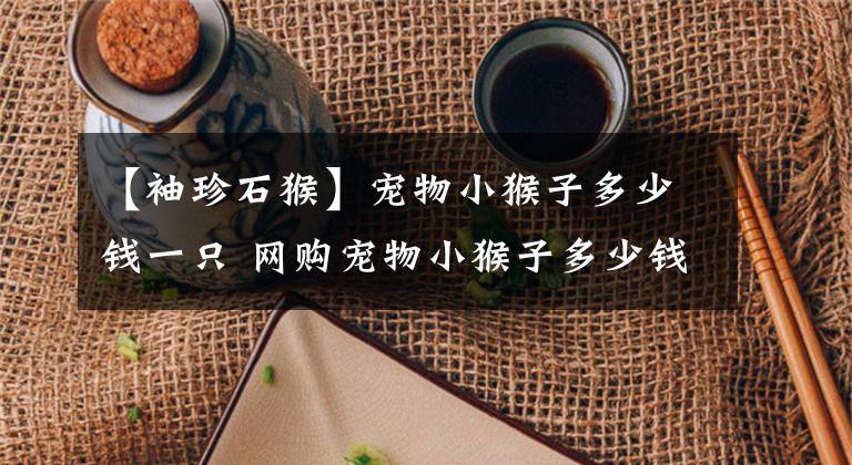 【袖珍石猴】宠物小猴子多少钱一只 网购宠物小猴子多少钱