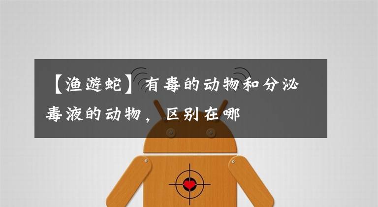 【渔游蛇】有毒的动物和分泌毒液的动物，区别在哪