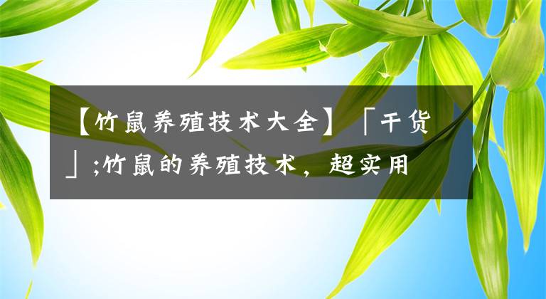 【竹鼠养殖技术大全】「干货」;竹鼠的养殖技术，超实用