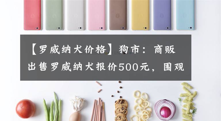 【罗威纳犬价格】狗市：商贩出售罗威纳犬报价500元，围观者有却无人购买！
