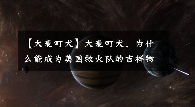 【大麦町犬】大麦町犬，为什么能成为美国救火队的吉祥物？