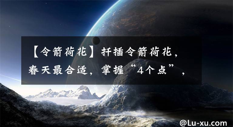 【令箭荷花】扦插令箭荷花，春天最合适，掌握“4个点”，一周就能长根