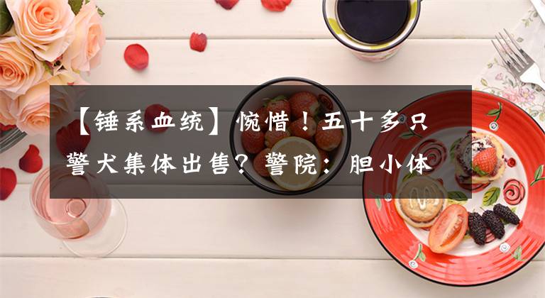 【锤系血统】惋惜！五十多只警犬集体出售？警院：胆小体小占很大原因