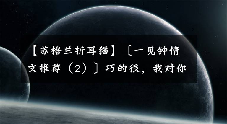 【苏格兰折耳猫】〔一见钟情文推荐（2）〕巧的很，我对你也是