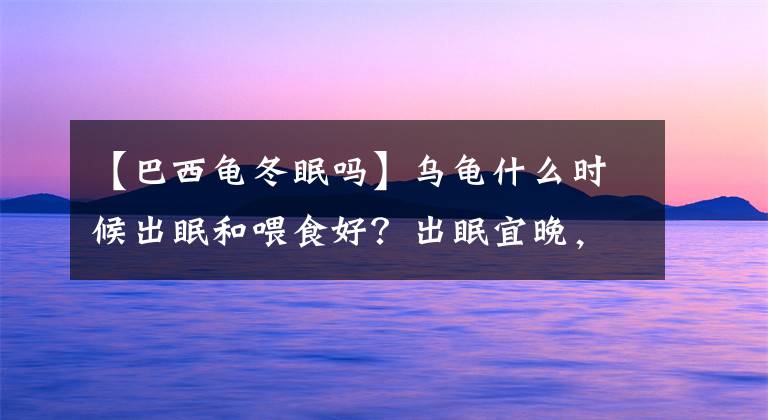 【巴西龟冬眠吗】乌龟什么时候出眠和喂食好？出眠宜晚，喂食宜少，龟出眠喂食建议