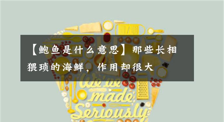 【鲍鱼是什么意思】那些长相猥琐的海鲜，作用却很大