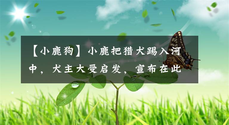【小鹿狗】小鹿把猎犬踢入河中，犬主大受启发，宣布在此建国，国祚106年