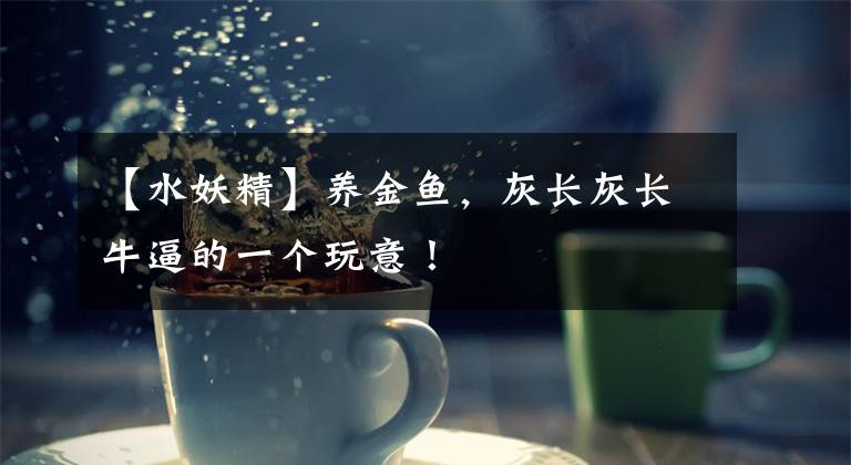 【水妖精】养金鱼，灰长灰长牛逼的一个玩意！