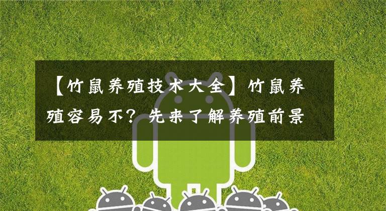 【竹鼠养殖技术大全】竹鼠养殖容易不？先来了解养殖前景和养殖的关键要求吧，一看便知