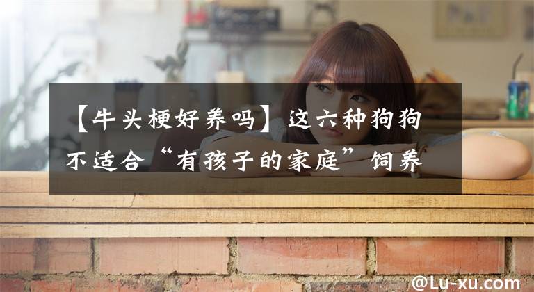 【牛头梗好养吗】这六种狗狗不适合“有孩子的家庭”饲养，是你家狗子吗？